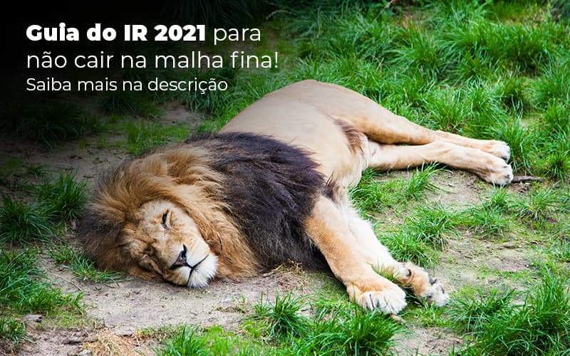 Guia Ir 2021 Para Nao Cair Na Malha Fina Saiba Mais Na Descricao Post (1) - Quero montar uma empresa