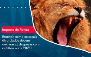 Entenda Como Os Casais Divorciados Devem Declarar As Despesas Com Os Filhos No Ir 2021 (1) - Quero montar uma empresa