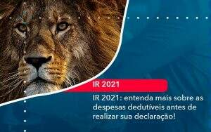 Ir 2021 Entenda Mais Sobre As Despesas Dedutiveis Antes De Realizar Sua Declaracao (1) - Quero montar uma empresa