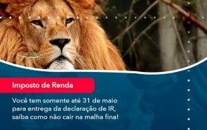 Voce Tem Somente Ate 31 De Maio Para Entrega Da Declaracao De Ir Saiba Como Nao Cair Na Malha Fina (1) - Quero montar uma empresa