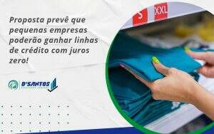 Proposta Prevê Que Pequenas Empresas Poderão Ganhar Linhas De Crédito Com Juros Zero Dsantos - D’Santos Assessoria Contábil | Contabilidade em Paraíso do Tocantins